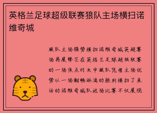 英格兰足球超级联赛狼队主场横扫诺维奇城